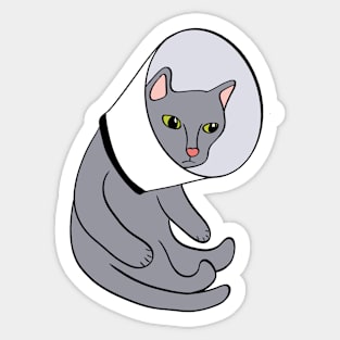 Cat in a Cone Sticker